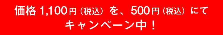 価格1,100円（税込）を、500円（税込）にてキャンペーン中！